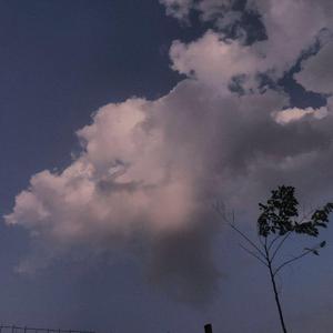 欧美在线播放91
