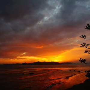 欧美在线播放91
