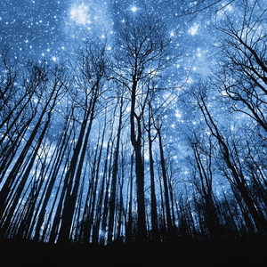 欧美在线播放91
